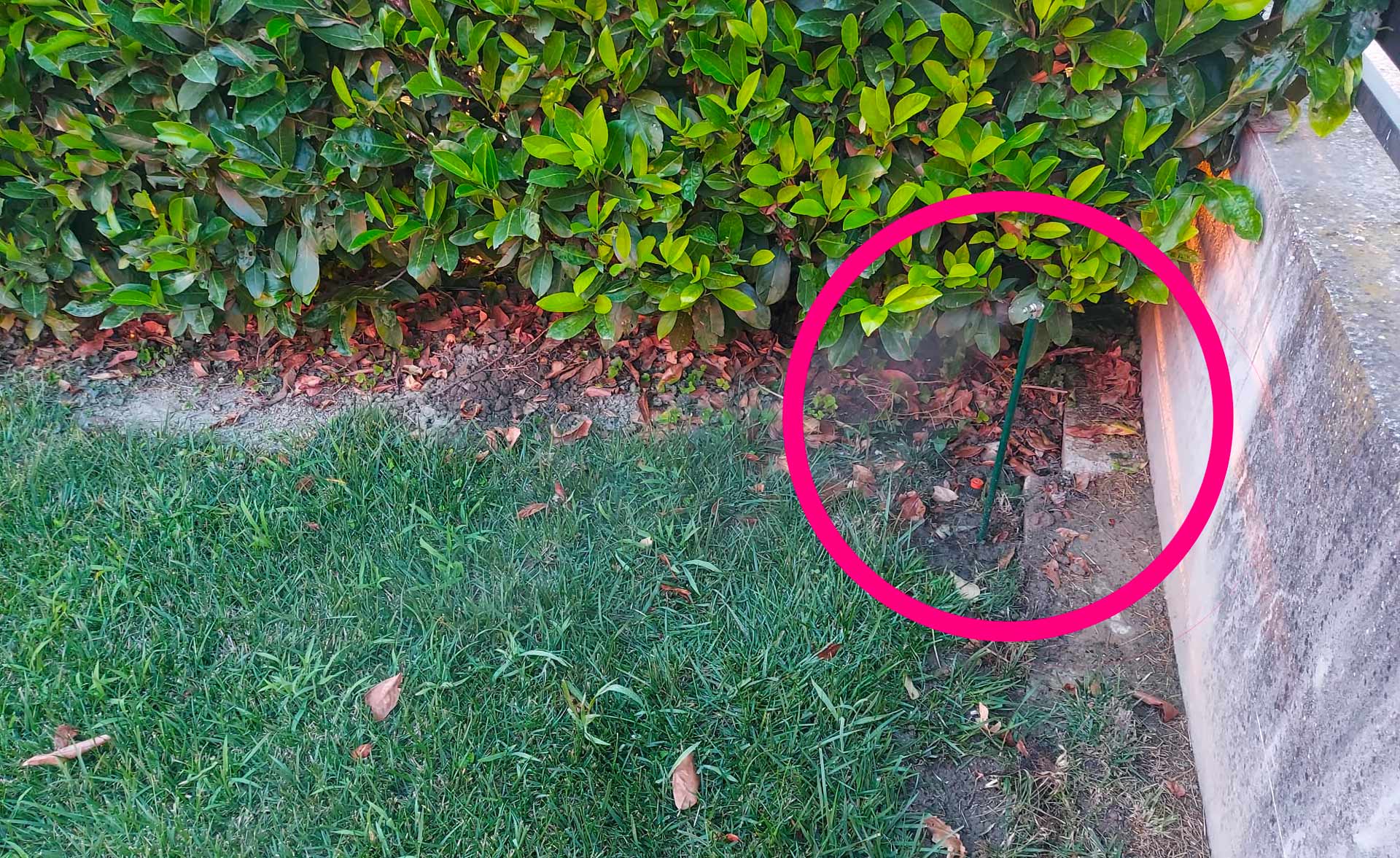 sistema-anti-zanzare